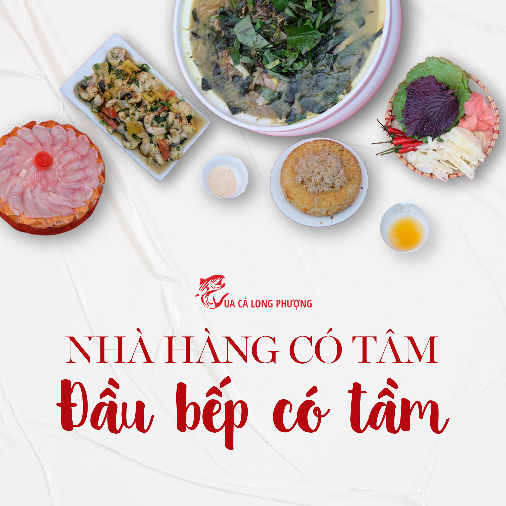 BUỔI KHAI TRƯƠNG NHÀ MÁY, XE ĐỖ TRẬT KÍN ĐƯỜNG DIỄN RA NHƯ THẾ NÀO