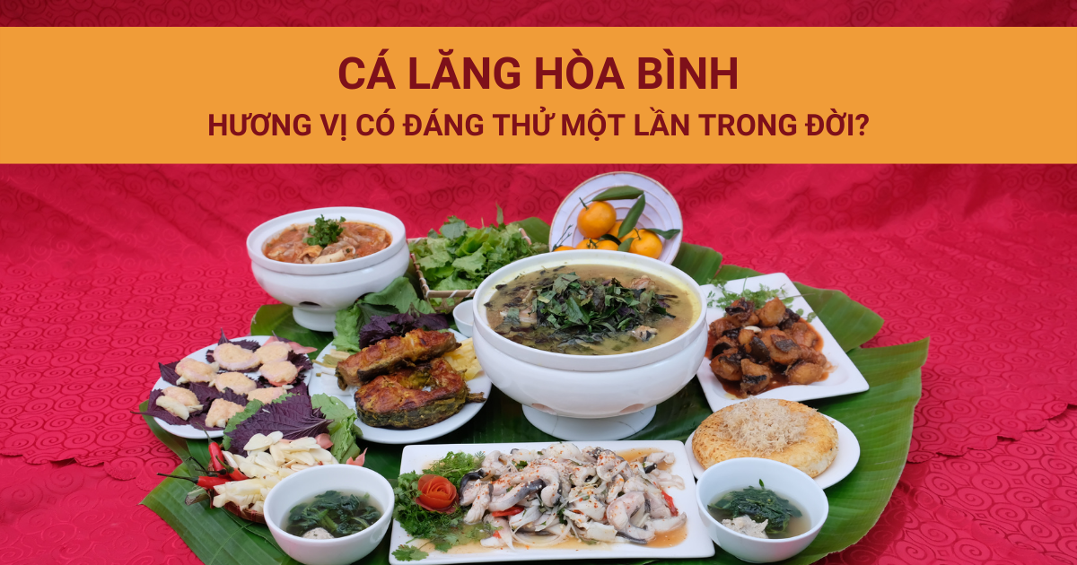 Cá lăng Hòa Bình - Hương vị có đáng thử một lần trong đời?